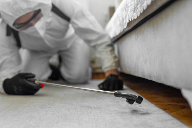 Professional Termite Control technician working in Raytown, MO